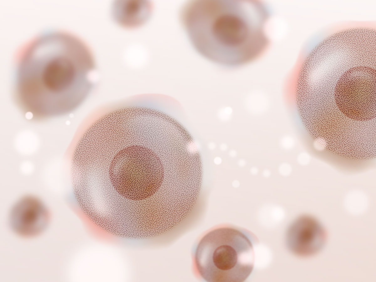 feat0<br />
<b>Warning</b>:  Undefined variable $i in <b>/home/xs171376/reunet.jp/public_html/trial2/wp/wp-content/themes/reutrial/parts/loop_features.php</b> on line <b>20</b><br />
<br />
<b>Warning</b>:  Undefined variable $count in <b>/home/xs171376/reunet.jp/public_html/trial2/wp/wp-content/themes/reutrial/parts/loop_features.php</b> on line <b>20</b><br />
2