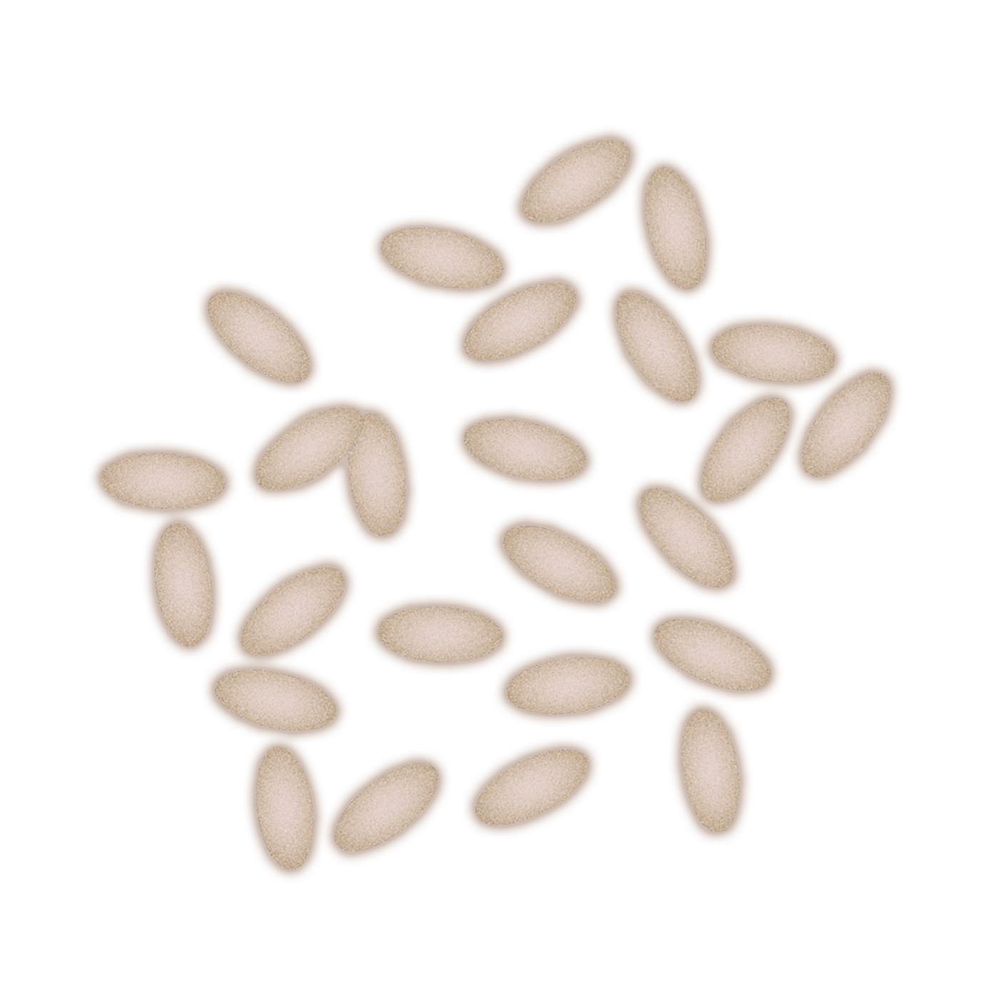 コメ発酵液FRS-01画像